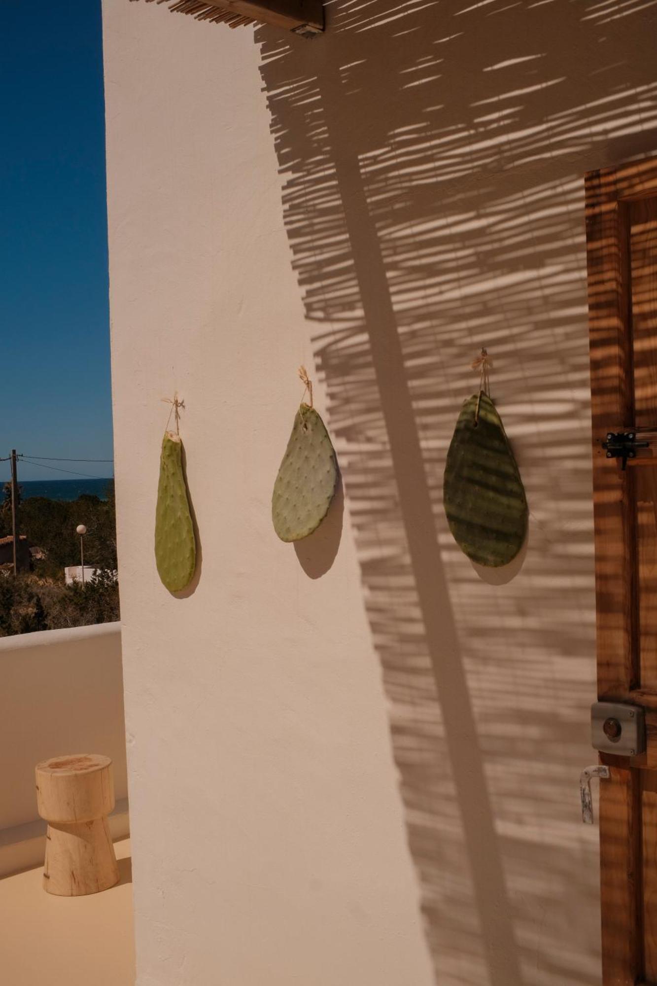 Estel Formentera Bãi biển Bãi biển Playa Migjorn Ngoại thất bức ảnh